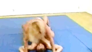 mixed wrestling with a strong fbb- YouTube