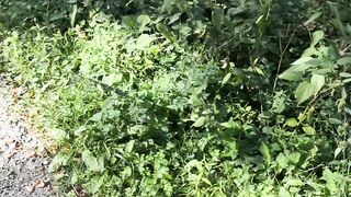 Public Nettles in Bra - Directors Cut