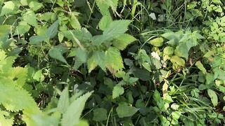 Public Nettles in Bra - Directors Cut