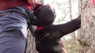 Tied to a tree, masked and outdoor deepthroat with no mercy