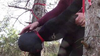 Tied up to a tree outdoor on sexy clothes and hard fucked