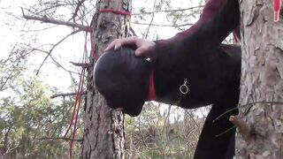 Tied up to a tree outdoor on sexy clothes and hard fucked