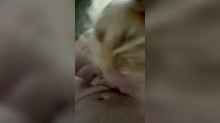 POV Blowjob GF Sucks BF Giggling we have Fun together