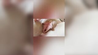 Petite Girl with Huge Labia Playing with her Pussy and Asshole