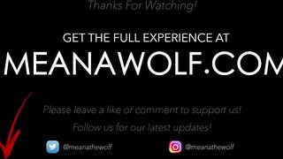 For The Fans - Meana Wolf