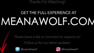 For The Fans - Meana Wolf