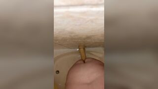 Chub riding big dildo in the shower