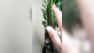 Plant as a dick