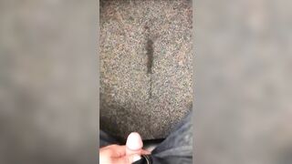 Peeing on the carpet