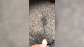 Peeing on the carpet