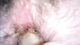 Put your dildo in my hairy ass (huge cum)