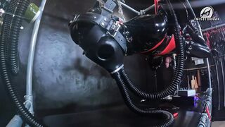 Heavy Rubber Hog Tied