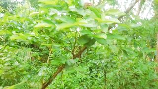 Srilankan Petite Village Girl Outdoor Sex