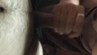 Desi aunty blowjob mms video